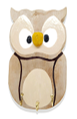 Wall Owl Key Holder